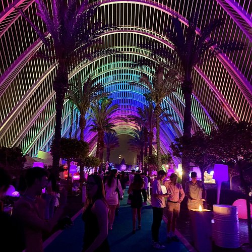 Vida nocturna en Valencia: guía completa para disfrutar la noche